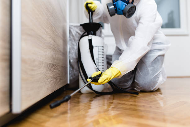 Best Bed Bug Extermination  in Orange City, FL