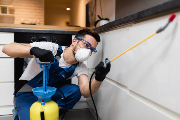 Trusted Orange City, FL Pest Control Experts