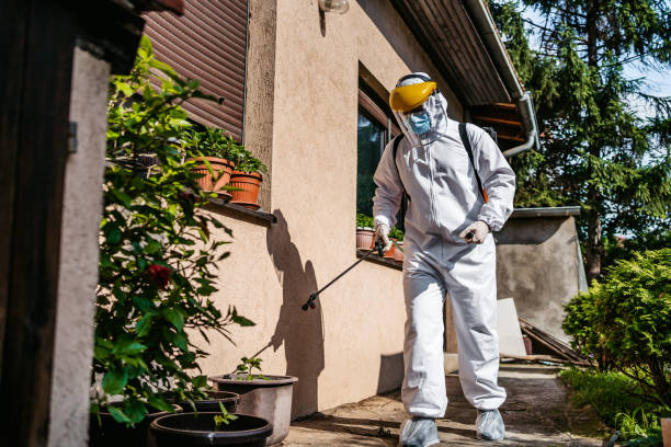 Best Bed Bug Extermination  in Orange City, FL
