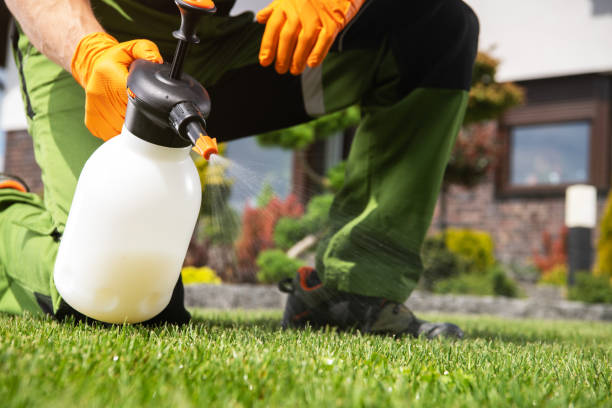 Best Mosquito Control Services  in Orange City, FL