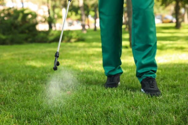 Best Spider Control Near Me  in Orange City, FL