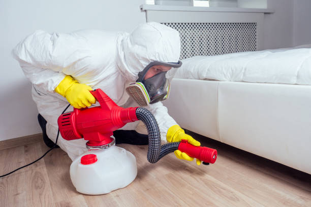 Best Pest Control Near Me in Orange City, FL