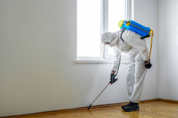 Best Termite Control Services  in Orange City, FL