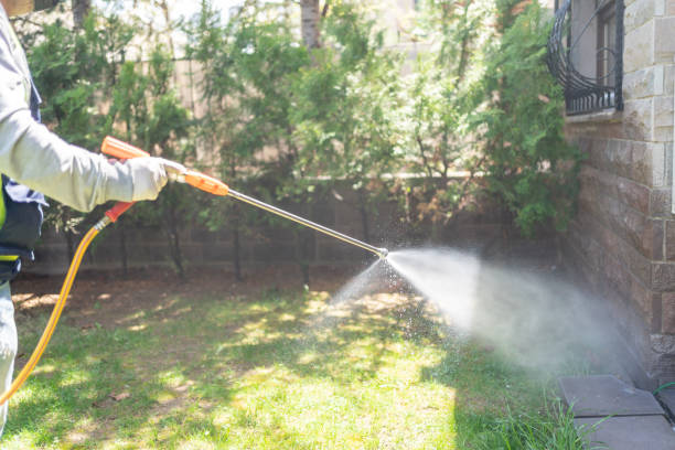 Best Ant Control Services  in Orange City, FL