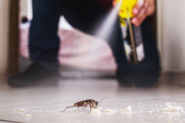 Trusted Orange City, FL Pest Control Experts