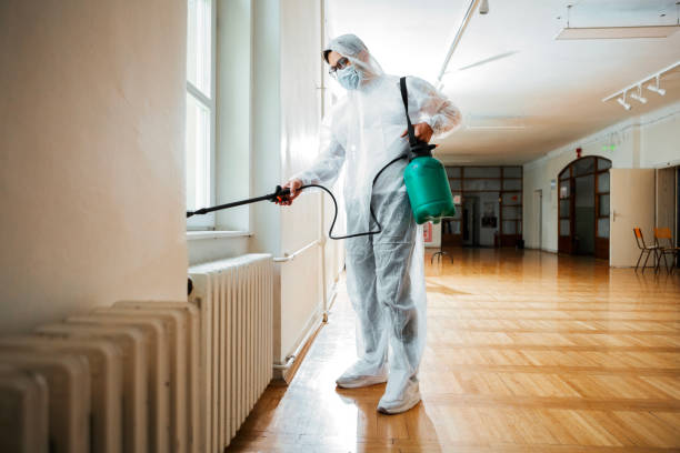 Best Best Pest Control Companies  in Orange City, FL